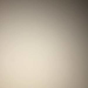 Meet your Posher, Shelly